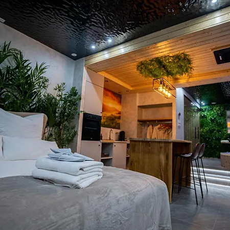 Le Nature - Sauna - Balneo - Sparoom * Sarreguemines